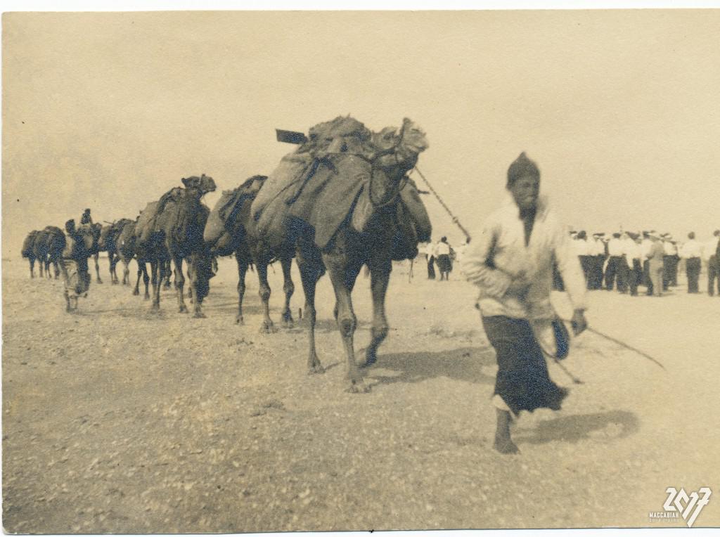 ההיסטוריה של המכביות -  